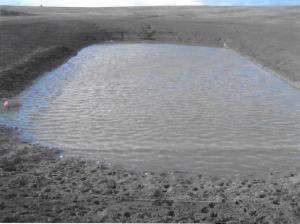 Picture15