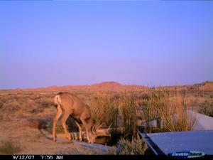 CDY_0034