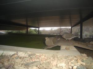 DSC01901
