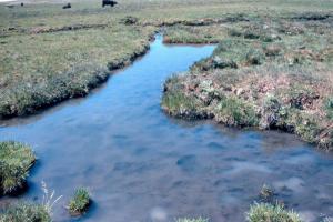 Hellyer Oregon Slough2 Hot season use