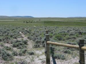 Oregon Slough Fence Line Contrast