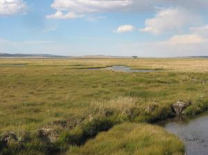 Oregon Slough Solar Pump and Riparian Fence 1 year later