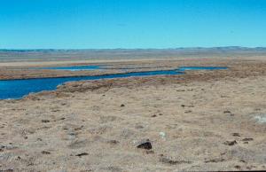 Oregon Slough before1