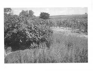 Photos_Page_4