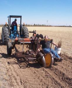 Planting