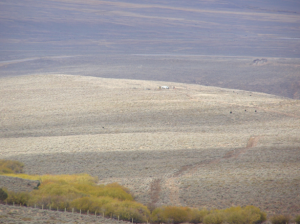 Prospect Mountain Spring Development