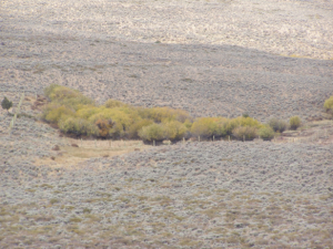 Prospect Mountain Spring Exclosure