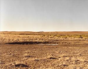 Sage Grouse