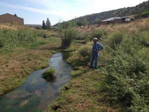 #405 Willow Creek Water Quality Improvement (WY)