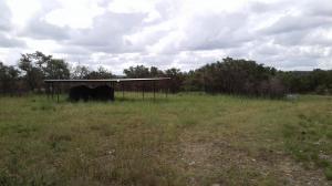 #419 Kerr Wildlife Management Area Guzzlers (TX)