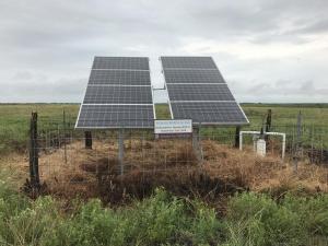 #414 Mad Island WMA-Mottled Duck Habitat (TX)