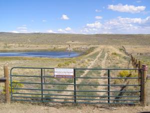 #415 Dry Cow Reservoir Riparian Habitat Improvement (WY)