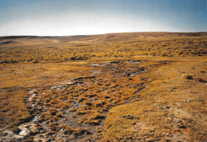 #224 Horse Track Well Riparian Fence (WY)