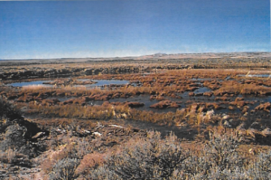 #223 Diagnus Well Wetland Development (WY)