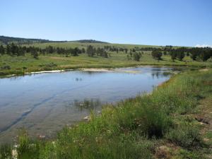 #288 Sheep Mountain Spring Development (WY)