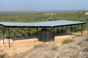 #412 Mason Mountain Wildlife Management Area Guzzler (TX)