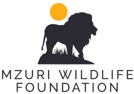 The Mzuri Foundation