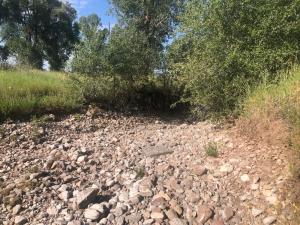 502-Photo-13