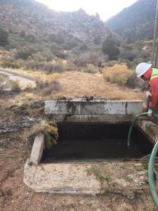 Emptying Water From Old Wildlife Development