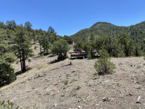Upper-Log-Canyon-Wildlife-Water-4